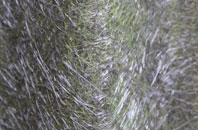 Broadlands fibreglass roof work